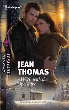 Title details for AWOL with the Operative by Jean Thomas - Available